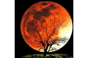 Cross Stitch Kits Stamped, OWN4B Moon Night Tree Printed Pattern 11CT 14.2x14.2 inch DIY Embroidery Kit (Moon)