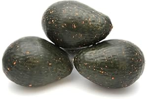 KABAKE Künstliche Avocados, Requisiten-Dekoration, lebensechte Kunststoff, grüne Avocado-Obst, Gemüse, Zuhause, Party, Festival, Dekoration (3 künstliche Avocados), 3 Stück