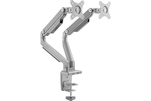 RICOO Support PC 2 Écrans TS8811 13-27" (33-69cm) Orientable Inclinable Bras Articulé Montage Pince de Table VESA 100 x 100 Argent