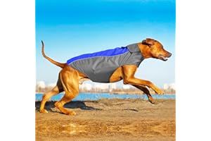 YFbrite dog harness-lightweight dog raincoat adjustable dog vest Reflective Pet jacket warm dog cloth for Small Medium Large Dogs (Blue, Medium)