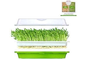 BIGHAVE Seed Sprouter Tray with Lid Sprouting Kit Extra Small Hole