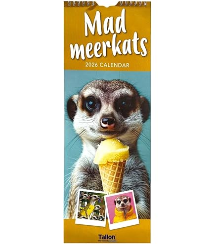 Giant Pandas Calendar 2026 | Square 30cm X 30cm | 100% Plastic Free - Finland