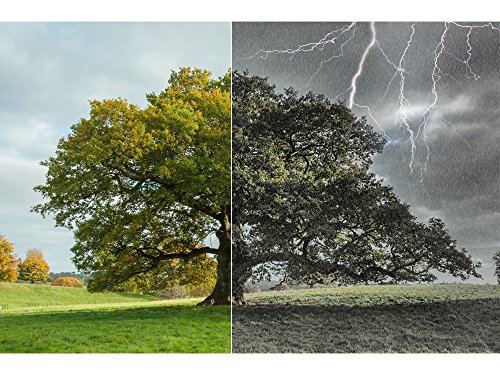 NATURE projects  Immer das richtige Wetter f  r Ihre Fotos