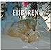 Eisbären 2015 - Original Stürtz-Kalender - Mittelformat-Kalender 33 x 31 cm by 