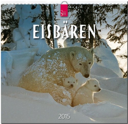 Eisbären 2015 - Original Stürtz-Kalender - Mittelformat-Kalender 33 x 31 cm