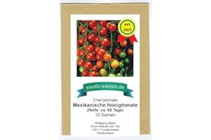 EXOTIC-SAMEN Mexikanische Honigtomate - Cherrytomate - sehr ertragreich - toller Geschmack - 10 Samen