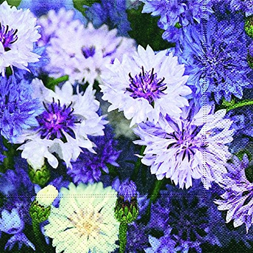 Preisvergleich Produktbild Paper+Design Motivservietten "Cornflowers"