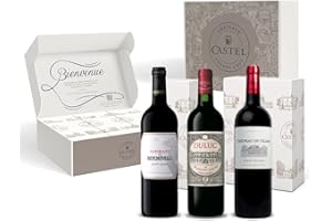 CASTEL CHATEAUX GRANDS CRUS Coffret Cadeau - Vin Rouge - Coffret Découverte Vins de Saint Julien : Aspirant de Beychevelle – Duluc de Branaire Ducru - Château du Glana - 3x75cl