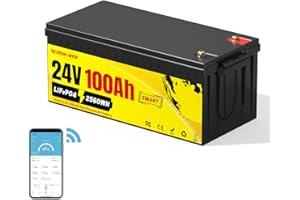 SCREMOWER 24V 100AH LiFePO4-Batterie mit Niedertemperaturschutz BMS Deep-Cycle-Lithium-Schiffsbatterie mit Bluetooth Max. 2560Wh Energie für 85lb Trolling Motor, RV, Off-Grid, Solaranlage, Boot