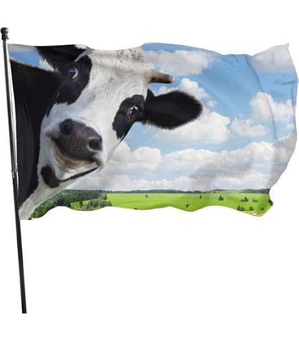 Yard Flaggen County Feiertage Flags Weatherproof Ga Produktbild-Vorschau 6