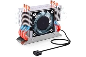 ‎NEWHAIL NewHail M.2 2280 SSD Kühler Kühlkörper mit 40mm PWM Lüfter, Kupfer Heat Pipes und Thermal Pad, SSD Kühler für M.2 2280 NVMe und SATA SSD