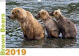  Brown Bears 2019 UK-Version 2019: Brown Bears - a shooting of a special kind (Calvendo Animals)
