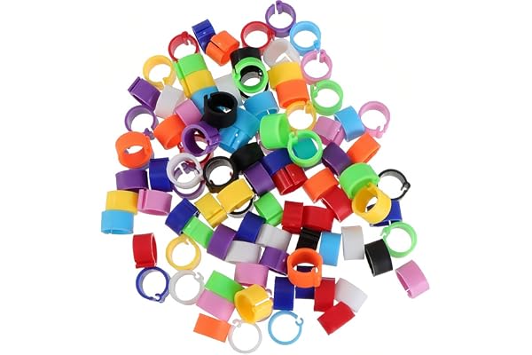 JEYORZY 100 pcs bagues d'identification pour oiseaux de 8mm, adaptées aux pattes des calopsittes et des pigeons, Accessoire ludique pour décorer les bandes de jambe des oiseaux, couleur aléatoire