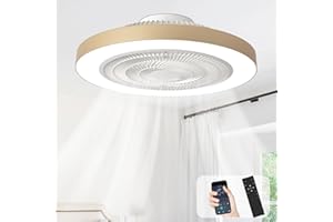 Depuley Ventilateur de plafond encastré: Ventilateurs de plafond discrets de 20 pouces pour chambre à coucher avec éclairage - Application et télécommande Ventilateur sans pales doré pour cuisine
