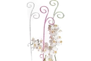 Scheurich 48195-Indoor Orchideenstab 1 x 9 x 62 cm, transparent
