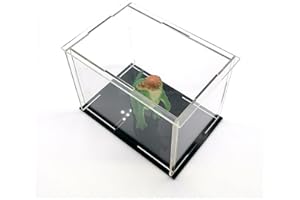 MEEC Scatola trasparente per display in acrilico con base nera, giocattolo (22 x 13 x 12 pollici/55 x 33 x 30 cm)