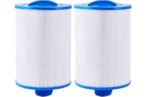 Covienapp PWW50 Filter Cartridge Replaces Hot Tub Filter FIlbur FC-0359 Unicel 6CH-940 Water-way Plastics 817-0050 25252, 378902, 03FIL1400,2 Pack