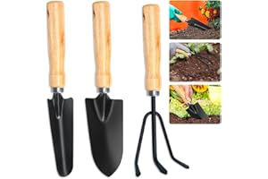BNGXR Gartenwerkzeug Set, 3-teilig Hochleistungs-Gartenset mit Gartenkelle Frankfurter Schaufel und Handharke, Mini Pflanze Gartengeräte Holzgriff für Pflanzen von Blumen und Gras