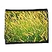 Produktbild Portemonnaie Geldbörse Brieftasche // M00155176 Grassamen Goldene Samen Lange Seeds // Small Size Wallet