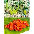 Creative Farmer Jackfruit Vietnam Super Early 1 Year Fruiting Variety - Ayur Jack Varikka Katahal Chakka Fruit Grafted Live Plant & Tree (1-1.5Ft Size)