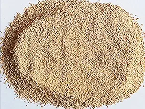 Maalavya Yellow Natural Sand for Garden Decor/Fish Tank Substrate (25kg)