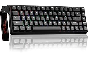 AULA WIN68 HE Hall Effect Gaming Keyboard,Adjustable Actuation Rapid Trigger,0.02mm RT Accuracy,8000Hz,RGB Backlight,USB-C Wired,60% Percent Magnetic Keyboard