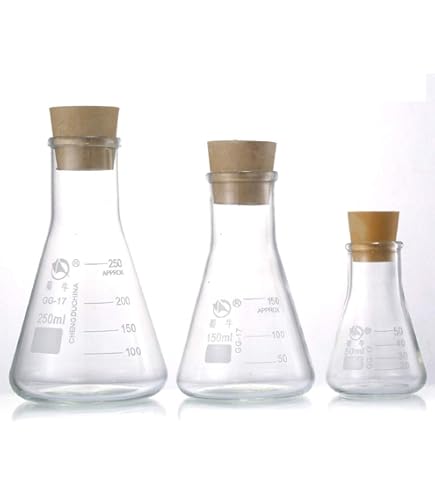 Illustrazione Di Rendering 3d Del Matraccio Volumetrico Ed Erlenmeyer Pallone Che Rende L Adatta Alla Nuova Normale Istruzione Image224263936