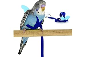 DNOIFNE Budgerigar - Arnés y Correa para Loros, diseño de Entrenamiento Ajustable, antimordeduras, Cuerda de Nailon con Bonita ala para periquitos y pájaros del Mismo tamaño (S, Azul)