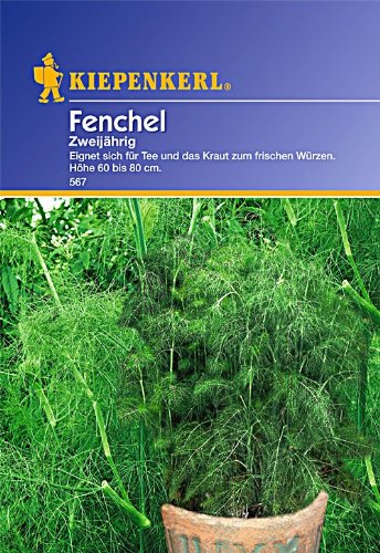 Kiepenkerl Fenchel Mehrjährig