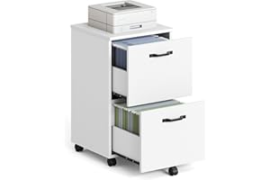 VASAGLE 2-Drawer Filing Cabinet, Mobile File Cabinet for Home Office, Small Rolling Filing Cabinet, Printer Stand, for A4, Letter-Size Files, Hanging File Folders, White OFC040W46