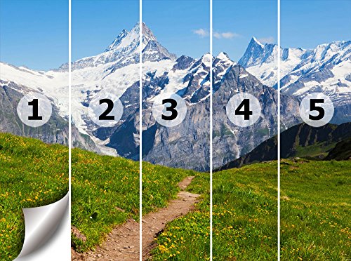 Fototapete Sommerwiese in den Alpen KT356 Größe: 350x260cm Alm Sommer Grün - 3