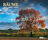 Bäume, Fotokunst-Kalender 2015 by 