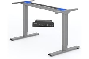 FLEXISPOT Escritorio Elevable Eléctrico con 2 Motores Escritorio Ajustable en Altura de Acero con 4 Funciones de Memoria Escritorio de pie Standing Desk, Carga de 100kg(Marco en Gris)