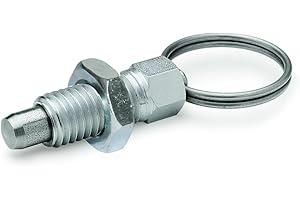 GANTER NORMELEMENTE Ganter Norm elementi GN 717 – 5 di M8 x 1 di AK della St – Resto Bulloni, Argento, 2 pezzi