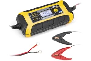 GYS - 029583 Artic 4000 - Chargeur - Inverter - 230 V - Livre avec Pinces et Cosses de Connexion