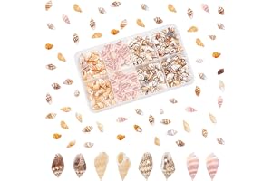 PH PandaHall 260 st 4 stilar mini snäckskal, 7 ~ 20 mm små snäckskal med hål för epoxi harts Ceafts hårklämma smyckestillverkning naturliga snäckor borrade skal för jul trädgård heminredning