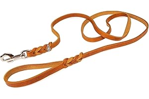 CopcoPet - Fettlederleine 1,50 m x 15 mm, Cognac, Hunde-Leine aus Leder mit verchromtem Karabiner, geflochtene Hunde-Führleine Leder