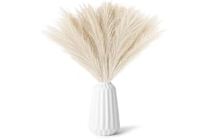 WEKUW 30 Pezzi Pampas Decorative,Piume Decorative Fiori Secchi Decorativi,Piume Decorative per Vaso,Fiori Secchi Decorativi per Vaso per Arredamento Casa Arredamento Boho Matrimonio (Giallo)