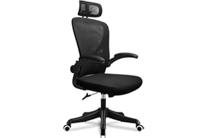 EOXCIIU Ergonomic Office Chair, Mesh Swivel Chair with Adjustable Lumbar Support, Tilt Function, Headrest, Flip-up Armrests, Height Adjustable for Home, Office, Work, Gaming and Rest, Black