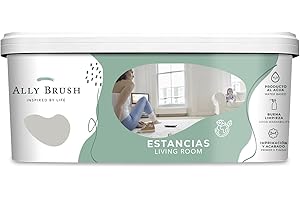 ALLY BRUSH PINTURA INTERIOR SILVER 3L