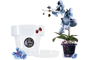 LiveLaif - Ø17cm - 1 Maceta Orquidea Transparente + Plato Maceta | Macetas Plastico | Macetas para Orquídeas Transparente | Macetero Orquidea | Elegir Estilo, Tamaño y Unidades