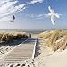 Produktbild Artland Qualitätsbilder | Glasbilder Deko Glas Bilder 50 x 50 cm Nordsee Strand auf Langeoog mit Möwen Landschaften D8PN