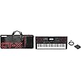 Casio CT-X9000IN 61-Key Portable Keyboard, Black with Carry Case and Pedal