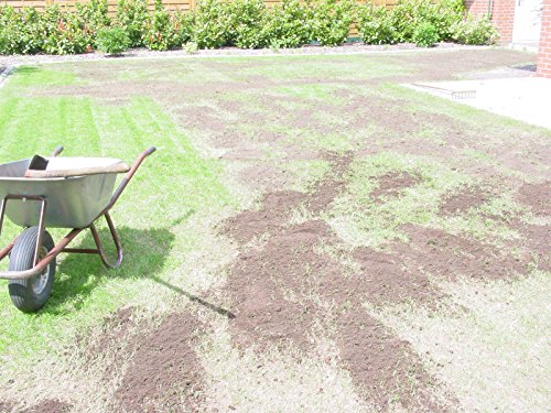 Dürreresistente Rasenmischung Berliner Tiergarten 1kg für ca. 30 m² - 4