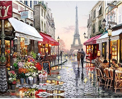 Painting by Numbers, VMAE DIY Oil Painting Paint by Number Kits, Drawing On Canvas by Hand Coloring Arts Crafts for Home Living Room Office Christmas Decoration Gifts Without Frame - Paris Street