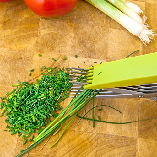 Coolkey Kräuterschere Rostfreier Stahl – Vielseitig Küche 5 Scharfe Klingen Zerkleinerte Lebensmittel Scheren, Mehrschicht Handgefertigte Papierschere, Cut, Scheibe, Kotelett Kräuter Schnell,Handliche Reinigung Kamm und Sicherheitsabdeckung (Grün) - 4
