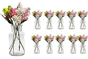 ‎CASAVETRO casavetro 10 x kleine Vasen Milk-rund 300 ml kleine Glas-vasen Deko-Flaschen Fläschchen Apotheker(10 x 300 ml-OK)