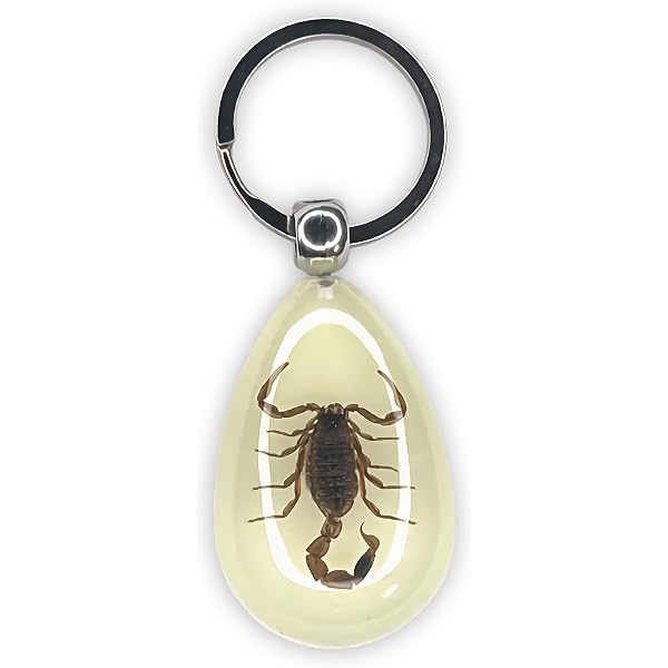 Anello raro in ambra naturale baltica con inclusione di insetto fossile - 2 pezzi, insetto