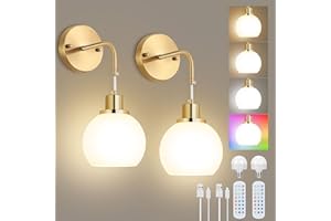 Lightess 2 Pack Battery Operated Wall Lights Glass Rechargeable Wall Sconce 3 Color Temperature and RGB Dimmable lampes with Bulbs Rechargeable Wall Lights with Remote Control for Bedroom Living Room