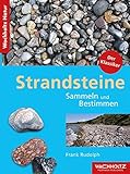 Strandsteine Sammeln und Bestimmen